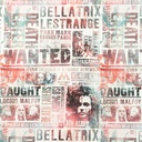 [S1706R-3681] [S1706R] Licence Digital Printed Harry Potter 3 ™© (Design A)