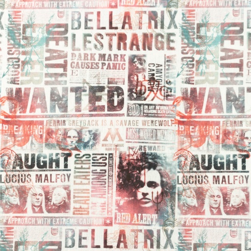 [S1706R] Licence Digital Printed Harry Potter 3 ™©