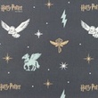 [S1706R-3684] [S1706R] Licence Digital Printed Harry Potter 3 ™© (Design D)
