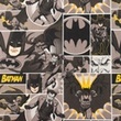 [S1708R-3682] [S1708R] Licence Digital Printed Batman ™© (Design B)