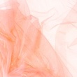 [S787R-1000] [S787R] Bridal Tulle (Apricot)