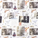 [S1741R-3681] [S1741R] Licence Digital Printed Magical Harry Potter  ™© (Design A)