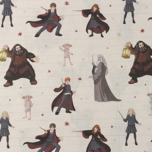 [S1737L] Licence Digital Printed Harry Potter Magic ™©