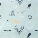 [S1738L-3681] [S1738L] Licence Digital Printed Harry Potter Mint ™©  (Design A)