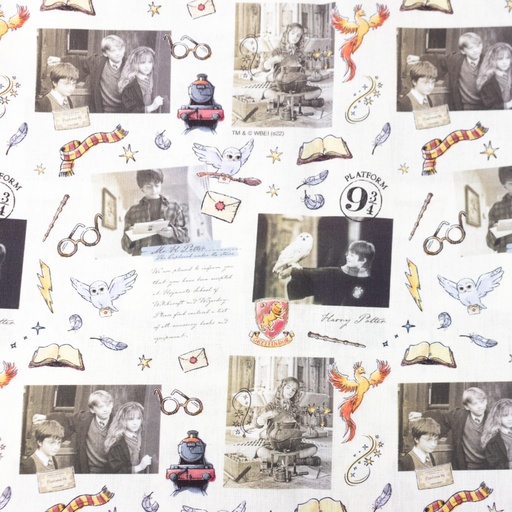 [S1741L] Licence Digital Printed Magical Harry Potter  ™©