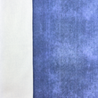 [S1746R-1009] [S1746R] French Terry Printed Jeans (Blue)