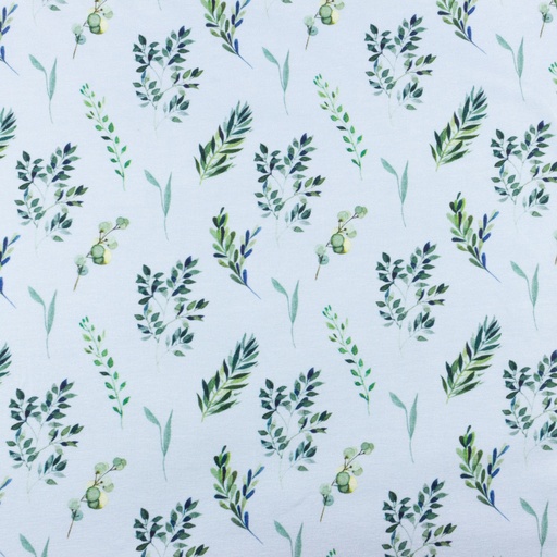 [S1543R] Jersey Digital Printed Cotton
