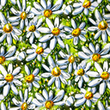 [S1764L-3683] [S1764L] Jersey Digital Printed Painted Flowers (Design C)