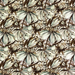 [S1760R-3235] [S1760R] Jersey Digital Printed Flowers (Flowers)