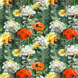 [S1760R-3428] [S1760R] Jersey Digital Printed Flowers (Poppy)