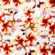 [S1791R-3684] [S1791R] Musselin Geknittert Digital Gedruckt Rosie (Design D)