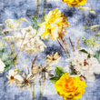 [S1794R-3683] [S1794R] Double Gauze Crinkled Digital Printed All in Bloom (Design C)