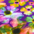 [S1874L-3683] [S1874L] Rayon Poplin Digital Printed Bright And Colorful (Design C)