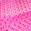 [S1883L-1049] [S1883L] Tule With Dots (Fuchsia)