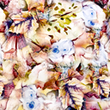 [S1825R-3682] [S1825R] Jersey Digital Printed Multicolor Flowers (Design B)