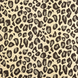 [S1879R-3737] [S1879R] Punta Di Roma Jacquard Panter Design (Size: Medium)