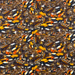 [S1828R-3684] [S1828R] Jersey Digital Printed Animals Freaks  (Design D)