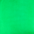 [S1878R-1002] [S1878R] Jersey Uni (Apfel Grün)