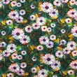 [S1891R-3685] [S1891R] Jersey Digital Printed Magical Flowers (Design E)