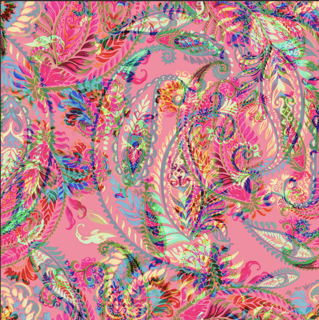 [S1902L] Viscose Lycra Heavy Digital Printed Paisley