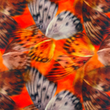 [S1908R-1106] [S1908R] Viscose Lycra Heavy Digital Printed Blurred Butterflies (Orange)