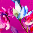 [S1961R-3684] [S1961R] Viscose Lycra Heavy Digital Printed Summer Flowers (Design D)