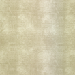 [S2031L-1130] [S2031L] French Terry Heavy Printed Jeans (Sand)