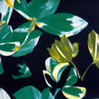 [S2075R-1230] [S2075R] Bubble Printed Tulips (Forest Green)