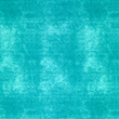 [S2031R-1077] [S2031R] French Terry Heavy Printed Jeans (Licht Petrol)