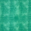 [S2031R-1230] [S2031R] French Terry Heavy Printed Jeans (Forest Green)