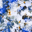 [S2199R-3685] [S2199R] Rayon Digital Printed Lina (Design E)