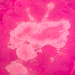 [S2322L-1049] [S2322L] Marble Marmol (Fuchsia)