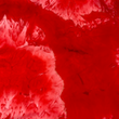 [S2322R-1122] [S2322R] Marble Marmol (Rot)