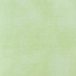 [S2030R-1248] [S2030R] Jersey Heavy Printed Jeans (Lime Cream)