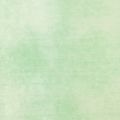 [S2031L-1249] [S2031L] French Terry Heavy Printed Jeans (Misty Jade)
