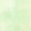 [S2031L-1249] [S2031L] French Terry Heavy Printed Jeans (Misty Jade)