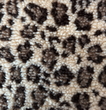 [S2380L-1130] [S2380L] Teddy Panther Print