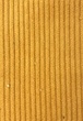 [S2432R-1104] [S2432R] Baby Rib Uni Cord Stretch (Ochre)