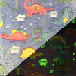 [S2449R-3699] [S2449R] Wellness Fleece Glow In The Dark Specials (Design S)