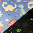 [S2449R-3705] [S2449R] Wellness Fleece Glow In The Dark Specials (Design Y)