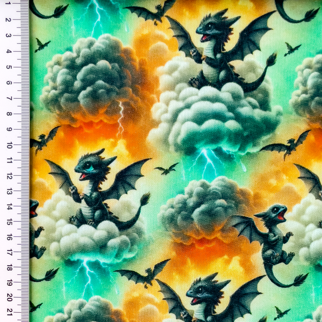 [S2509R] Jogging Digital Printed Dragons