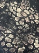 [S2559R-3687] [S2559R] Jacquard Mix (Design G)