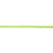 [016R-42772] [016R] Nastro Pelle Scamosciata Con Stella Argento (Lime)