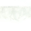 [055R-41635] [055R] Taśma Z Piórami Długa (Biały)