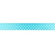 [064R-10167] [064R] Satin Ribbon Dot 15 mm (Aqua)