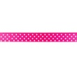 [064R-10168] [064R] Satängband Prick 15 mm (Fuchsia)