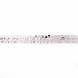 [066R-43346] [066R] Stretchable Sequin Trim 20 mm (Silver)
