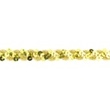 [099R-41073] [099R] Gold Trim (Design N)