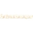 [187R-40996] [187R] Ruban Paillettes Avec Perles (Blanc Cassé)