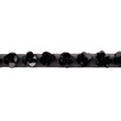 [187R-40997] [187R] Sequin Trim With Beads (Black)